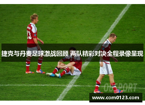 捷克与丹麦足球激战回顾 两队精彩对决全程录像呈现